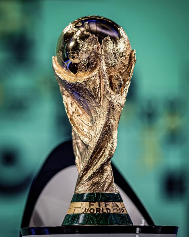 政府政策的 政府政策的